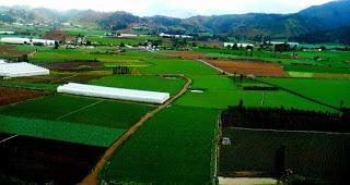 Lo que puedes degustar en Constanza