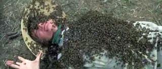 RECORDANDO A IRWIN ALLEN (1916-1991)