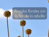 Arreglos florales flor cebolla