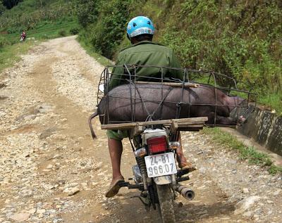 Cielo azul, arrozales y montañas verdes, respira! (Sapa - Lao Cai, día 6 #vietnamim16)