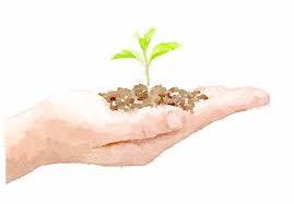 Ayudas y Subvenciones