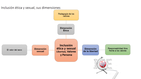 diapositiva7