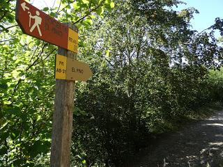 Ruayer-Xexa-Picón de Maea Alta-Pico de Maea Pandos-Foces del Pino