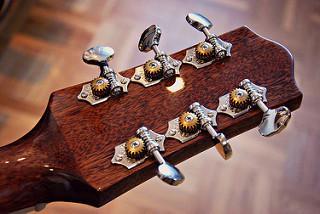 The Loar LH300VS (customized)