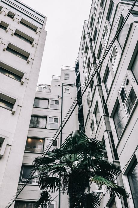 Tokyo_Travel_Guide-Fish_Market-Harajuku-Levis_Denim_Skirt-Off_The_Shoulders_Top-YSL_Sneakers-Outfit-Collage_Vintage-Street_Style-162