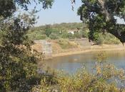 paseo Cornalvo