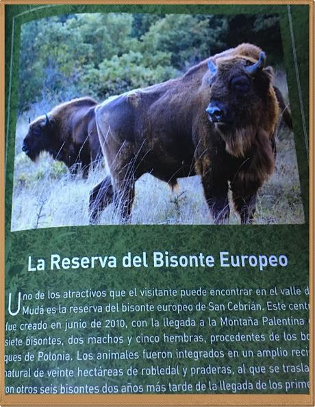 Cuarenta años después