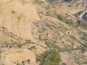 Xtrem Desert Tracks Flying Over (Primordial Landscape)