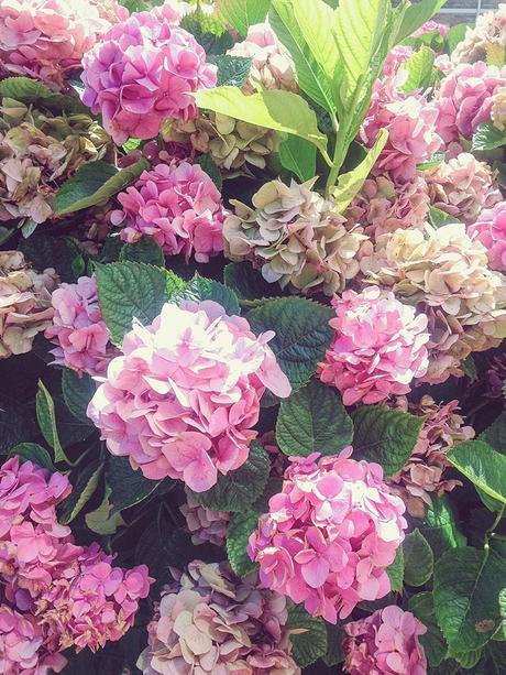 A rayas (Snapshots / OOTD) A rayas (Snapshots / OOTD)