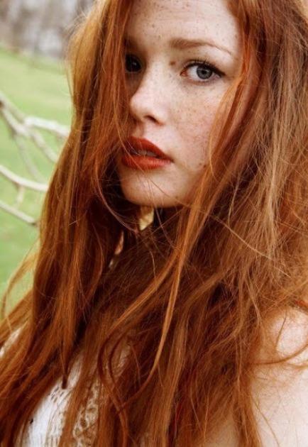 Firelight de Sophie Jordan