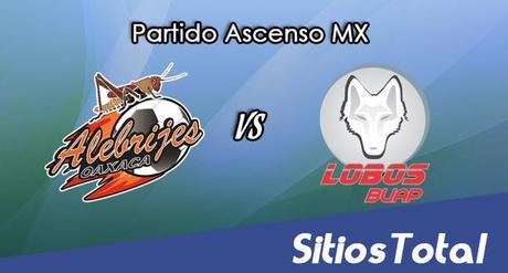 Alebrijes de Oaxaca vs Lobos BUAP en Vivo – Online, Por TV, Radio en Linea, MxM – AP 2016 – Ascenso MX Alebrijes de Oaxaca vs Lobos BUAP en Vivo – Online, Por TV, Radio en Linea, MxM – AP 2016 – Ascenso MX