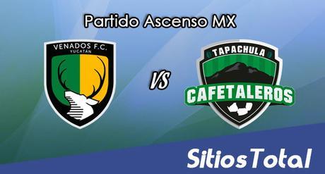 Venados FC vs Cafetaleros de Tapachula en Vivo – Online, Por TV, Radio en Linea, MxM – AP 2016 – Ascenso MX Venados FC vs Cafetaleros de Tapachula en Vivo – Online, Por TV, Radio en Linea, MxM – AP 2016 – Ascenso MX