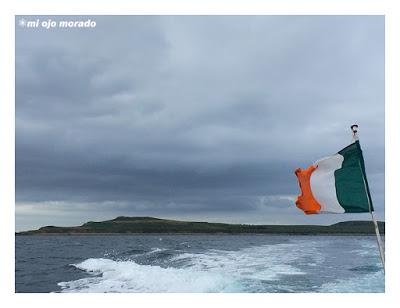 Islas Saltee, pequeño paraíso.