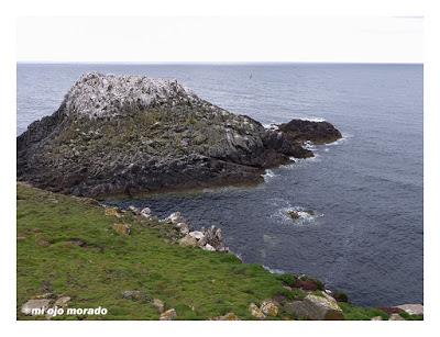 Islas Saltee, pequeño paraíso.