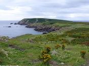 Islas Saltee, pequeño paraíso.