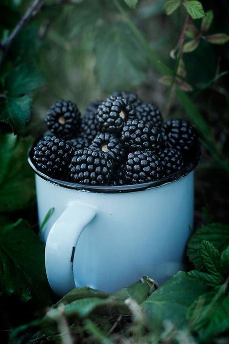 Blackberries in Neolithic Britain were surrounded by superstitions and In South west England they believed the first Blackberries in a season could get rid of warts.....their dark colour does make them high in antioxidants! If you suffer from PMS the phytoestrogens in blackberries are thought to relieve some symptoms. And in season they are delicious!: 