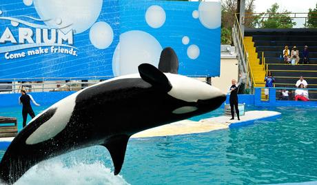 que-visitar-en-miami-1