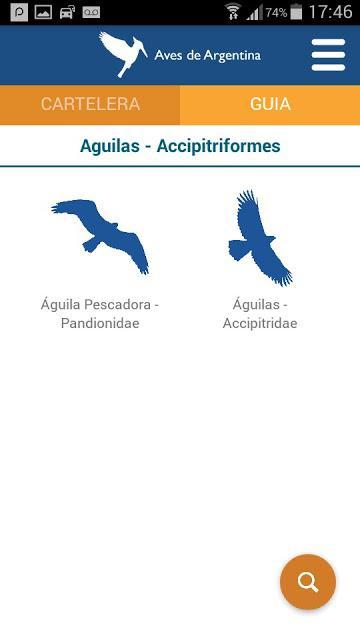 Aves de Argentina, novedosa aplicación para celulares Aves de Argentina, novedosa aplicación para celulares