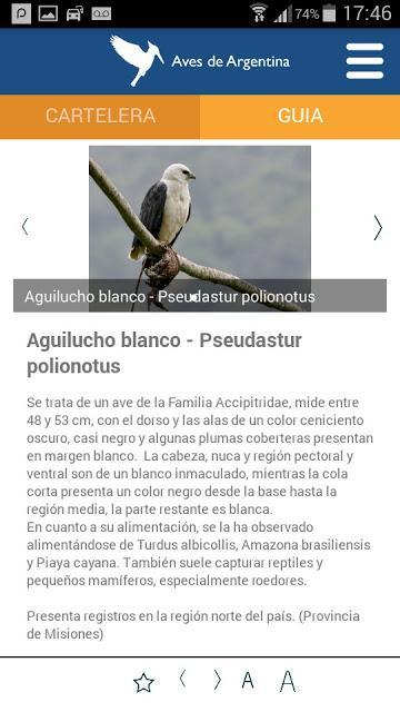 Aves de Argentina, novedosa aplicación para celulares Aves de Argentina, novedosa aplicación para celulares