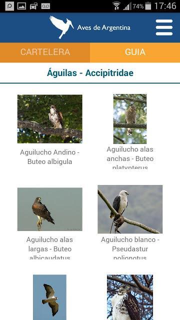 Aves de Argentina, novedosa aplicación para celulares Aves de Argentina, novedosa aplicación para celulares