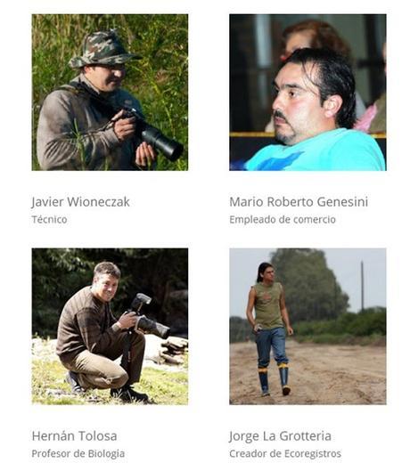 Aves de Argentina, novedosa aplicación para celulares Aves de Argentina, novedosa aplicación para celulares