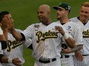 Serie favor Pericos Puebla