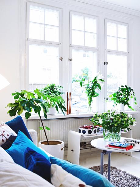 home-decor-fresh-interior-design-trends-2014-with-plants-interior-design-2014-trends