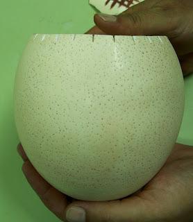 Pintar un huevo de avestruz con la técnica púnica.