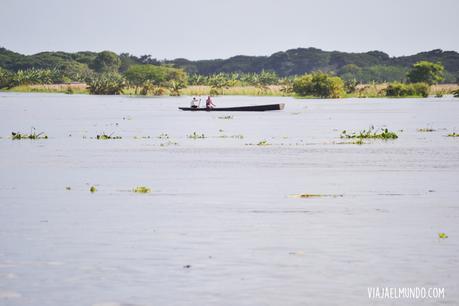 Por ahí, en la llanura inundada