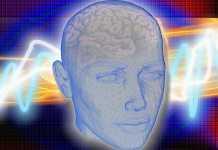 El narcisismo patológico se relaciona con la reducción del grosor y volumen de la corteza frontal del cerebro