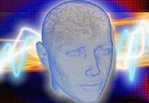 Implantes ultrasónicos para atacar los tumores cerebrales El narcisismo patológico se relaciona con la reducción del grosor y volumen de la corteza frontal del cerebro
