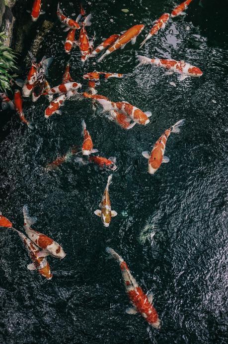 Tokyo_Travel_Guide-Outfit-Collage_Vintage-Street_Style-Reformation_Shorts-Realisation_Par_Stars_Blouse-Sneakers-Flea_Market_Backpack-58