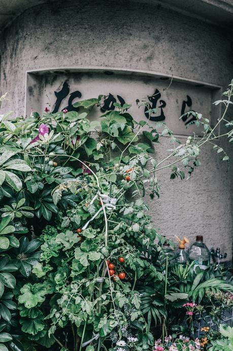 Tokyo_Travel_Guide-Outfit-Collage_Vintage-Street_Style-Reformation_Shorts-Realisation_Par_Stars_Blouse-Sneakers-Flea_Market_Backpack-4
