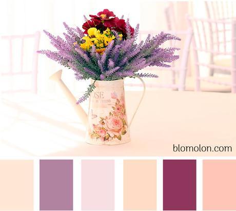 paleta-de-colores-imagen-2