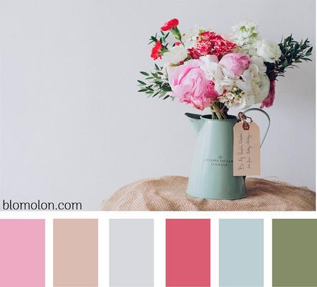 paleta-de-colores-imagen-5