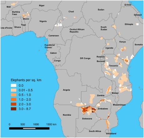 EL ELEFANTE A PUNTO DE LA EXTINCIÓN