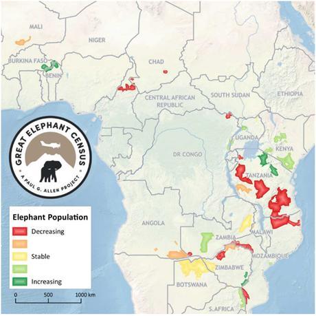 EL ELEFANTE A PUNTO DE LA EXTINCIÓN