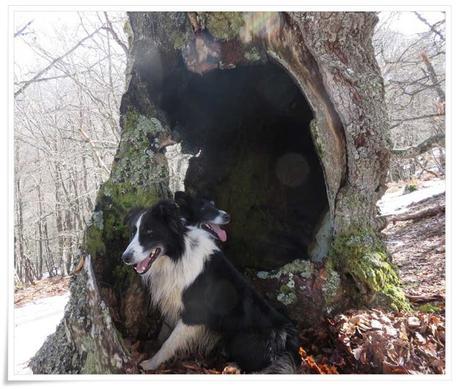 Entre las palabras y las mil imágenes