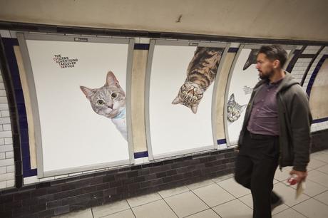 Sustituyen toda la publicidad de una estación de metro londinense por fotos de gatitos