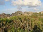 Capo Testa Santa Teresa Gallura