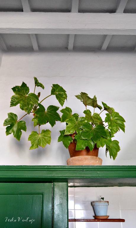 DETALLES DE MI COCINA DETALLES DE MI COCINA