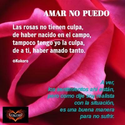 AMAR NO PUEDO AMAR NO PUEDO