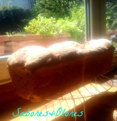 PAN DE CALABACIN A LA MENTA Y LIMON ....PANES QUE ENAMORAN ..PANIFICADORA