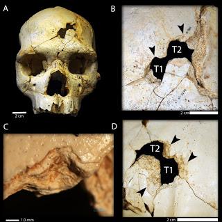 Paleoguerra