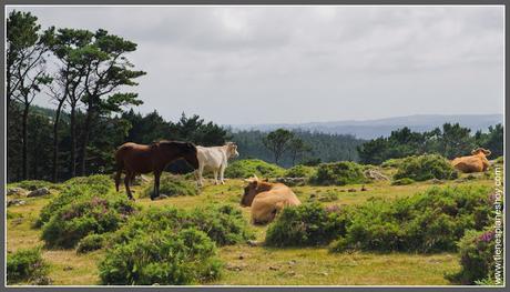 Vixia Herbeira Miradores (Galicia)