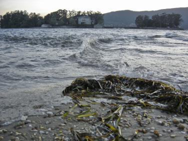Redondela - Isla de San Simón