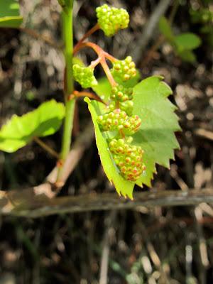 Visita un sitio mágico