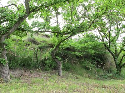 Visita un sitio mágico
