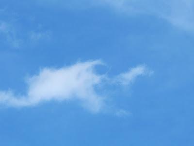 Azul y el quinto chacra