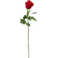 Cantarle al amor o a las rosas